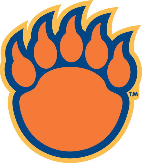Morgan State Bears 2002-Pres Alternate Logo DIY iron on transfer (heat transfer)